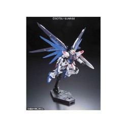 Maquette - Real Grade - Gundam - Freedom