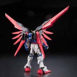 Maquette - Real Grade - Gundam - Destiny