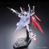 Maquette - Real Grade - Gundam - Destiny