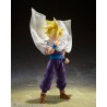 Action Figure - S.H.Figuart - Dragon Ball - Son Gohan