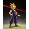 Action Figure - S.H.Figuart - Dragon Ball - Son Gohan