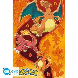 Poster - Rolled and shrink-wrapped - Pokemon - Fire type