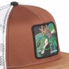 Casquette - Snap Back - Dragon Ball - Shenron