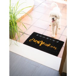 Doormat - Friends - How you doin