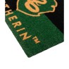 Doormat - Harry Potter - Slytherin