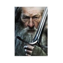 Poster - Rolled and shrink-wrapped - The Hobbit - Gandalf