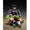 Action Figure - S.H.Figuart - Dragon Ball - Broly