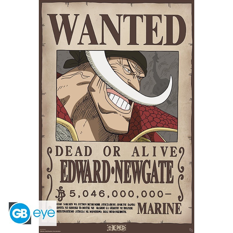 Poster - Roulé et filmé - One Piece - Barbe Blanche