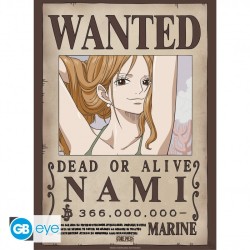 Poster - Set of 2 - One Piece - Nami & Robin