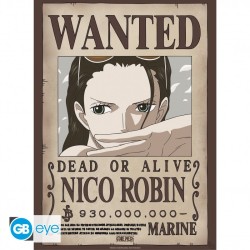 Poster - Pack de 2 - One Piece - Nami & Robin