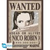 Poster - Pack de 2 - One Piece - Nami & Robin
