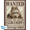 Poster - Pack de 2 - One Piece - Franky & Usopp