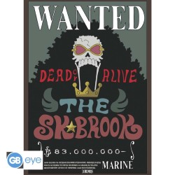 Poster - Pack de 2 - One Piece - Chopper & Brook
