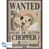 Poster - Set of 2 - One Piece - Chopper & Brook