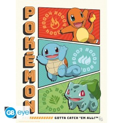 Poster - À plat - Pokemon - Starters