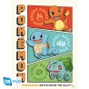 Poster - À plat - Pokemon - Starters