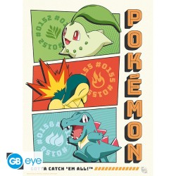 Poster - À plat - Pokemon - Starters