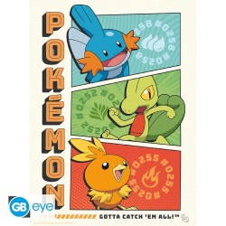 Poster - À plat - Pokemon - Starters