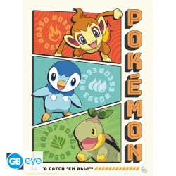 Poster - À plat - Pokemon - Starters