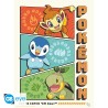 Poster - À plat - Pokemon - Starters