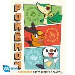 Poster - À plat - Pokemon - Starters