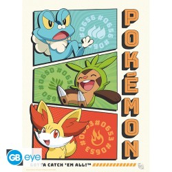 Poster - À plat - Pokemon - Starters