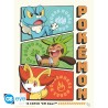 Poster - Flat - Pokemon - Starters