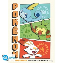 Poster - À plat - Pokemon - Starters