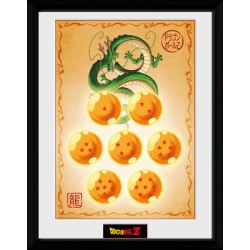 Frame  - Dragon Ball - Shenron