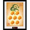 Frame  - Dragon Ball - Shenron