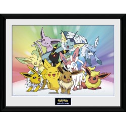 Frame  - Pokemon - Evolution - Eevee