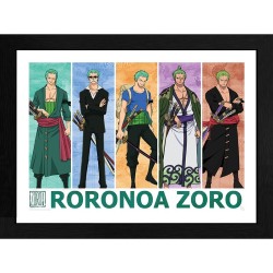Frame  - One Piece - Roronoa Zoro