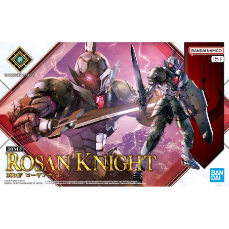 Maquette - 30 Minutes Fantasy - Rosan Knight