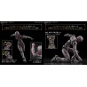 Maquette - 30 Minutes Fantasy - Rosan Knight