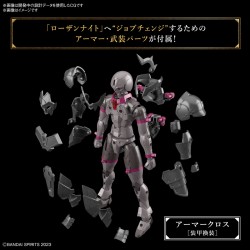 Model - 30 Minutes Fantasy - Rosan Knight