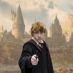 Wand - Characters collection - Harry Potter - Ronald Weasley