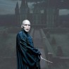 Wand - Characters collection - Harry Potter - Lord Voldemort