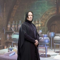 Wand - Characters collection - Harry Potter - Severus Snape