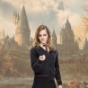 Wand - Characters collection - Harry Potter - Hermione Granger