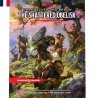 Book - role-playing game - Dungeons & Dragons - Phandelver and Below: The Shattered Obelisk