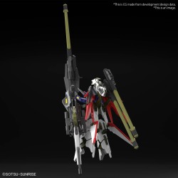 Model - High Grade - Gundam - Destiny Spec II & Zeus Sillouette