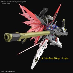 Model - High Grade - Gundam - Destiny Spec II & Zeus Sillouette