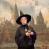Baguette - Collection Personnages - Harry Potter - Minerva McGonagall
