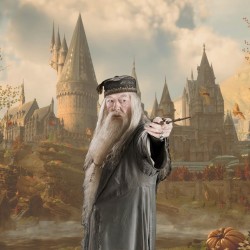 Baguette - Harry Potter - Albus Dumbledore