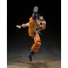 Action Figure - S.H.Figuart - Dragon Ball - Son Goku