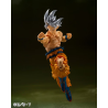 Action Figure - S.H.Figuart - Dragon Ball - Son Goku