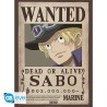 Poster - Pack de 2 - One Piece - Wanted Sabo & Ace