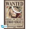 Poster - Pack de 2 - One Piece - Wanted Roger & Newgate