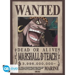 Poster - Set of 2 - One Piece - Wanted Shanks & Teach