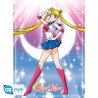 Poster - Pack de 2 - Sailor Moon - Sailor Moon & chats